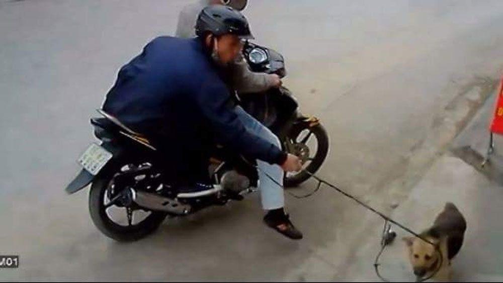 Bat hai thanh nien mang binh xit hoi cay di trom cho hinh anh