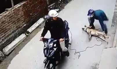 Nguoi dan ong trom cho bi dan lang danh tu vong hinh anh