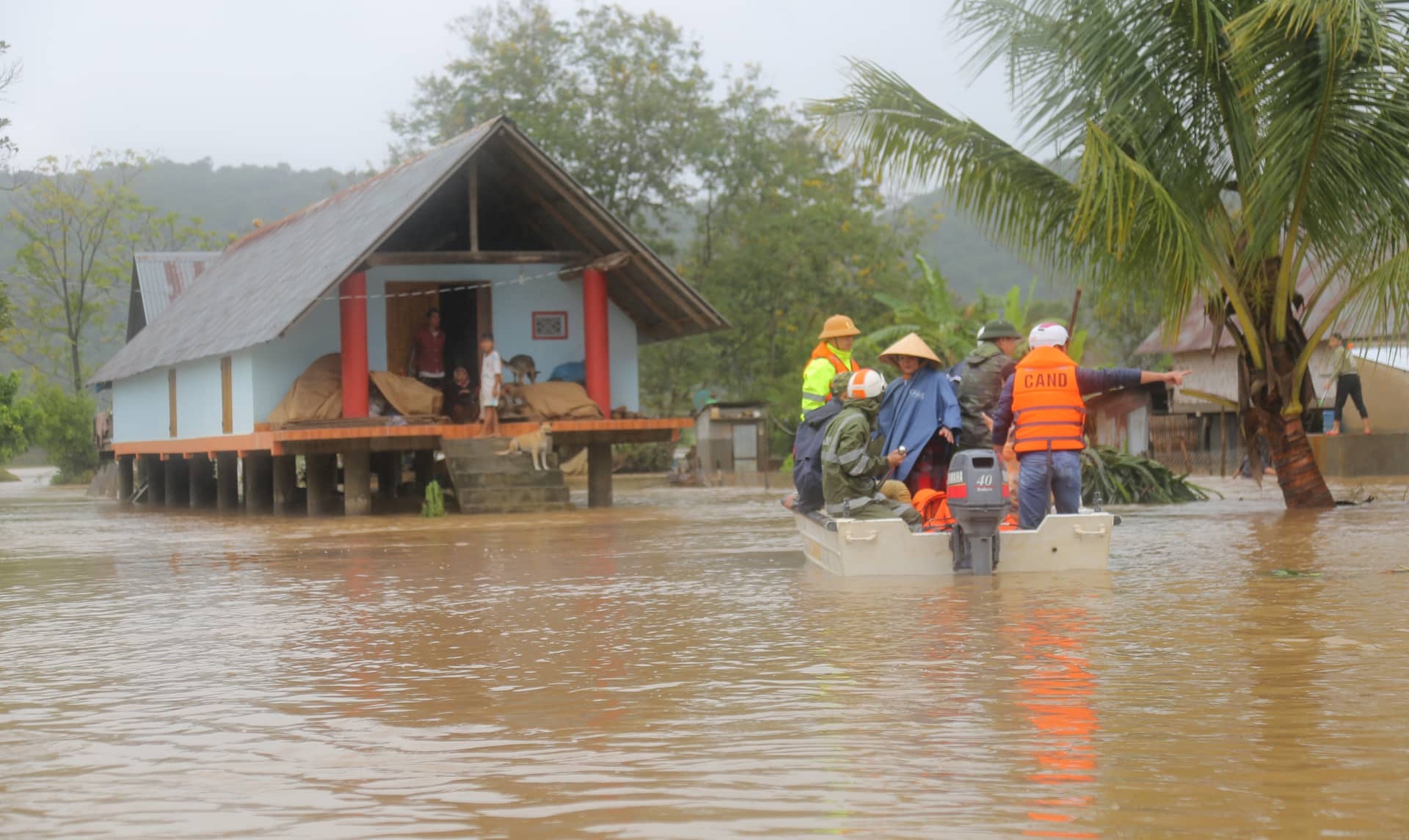 Hang tram ngoi nha bi ngap anh 1