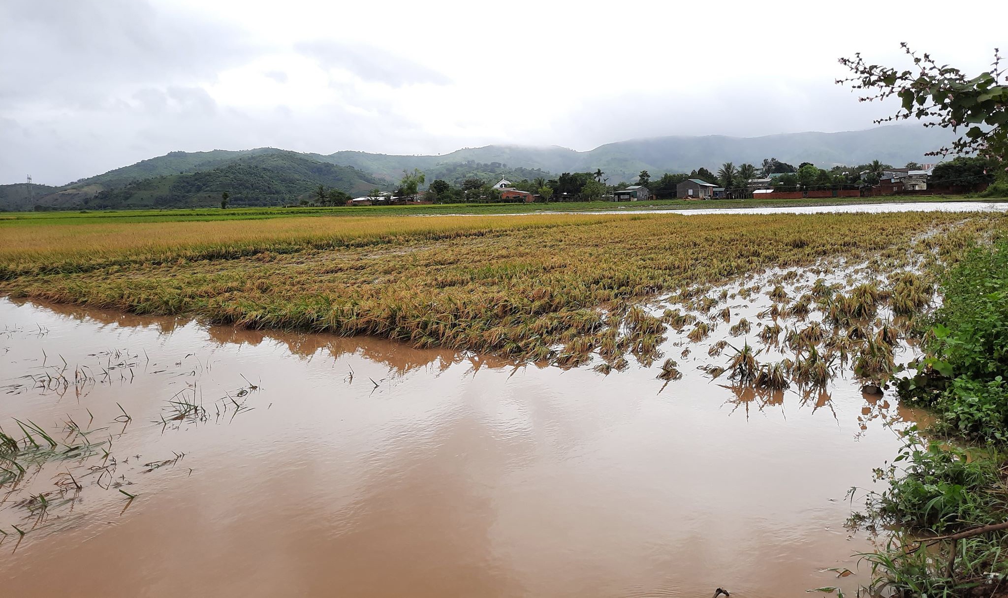Hang tram ngoi nha bi ngap anh 8