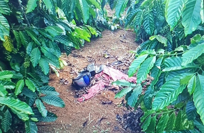 Giet nguoi tinh o lam Dong anh 2