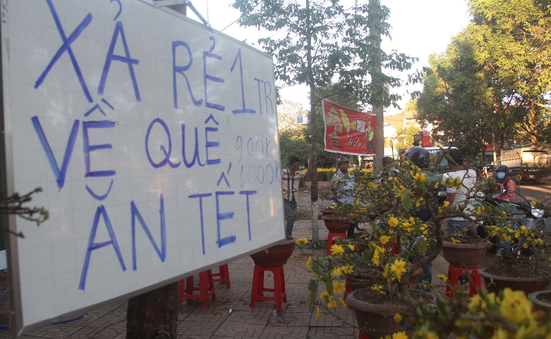 Hoa mai, quat giam gia ngay sat Tet hinh anh