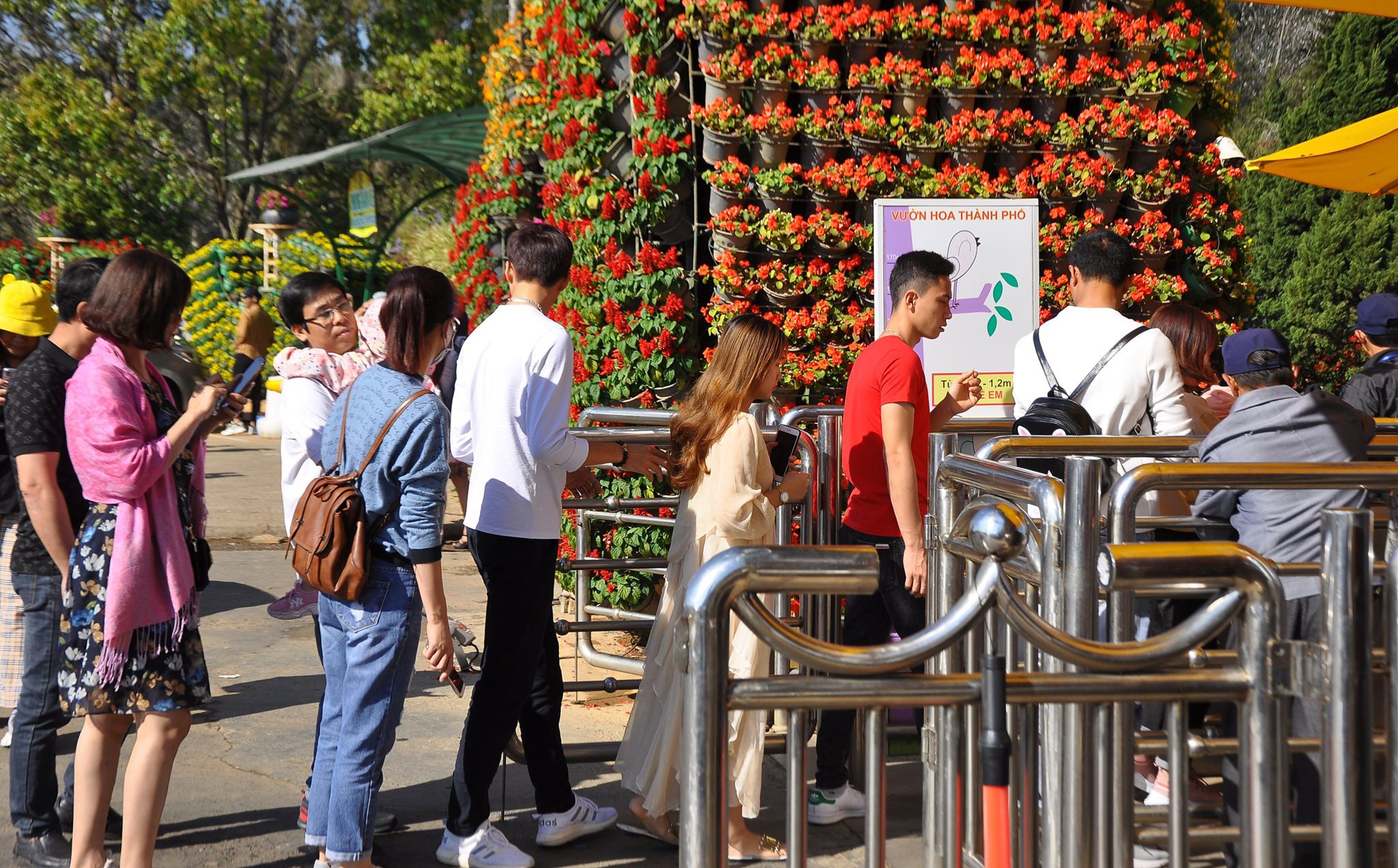 TP Da Lat ket xe ngay Tet anh 9