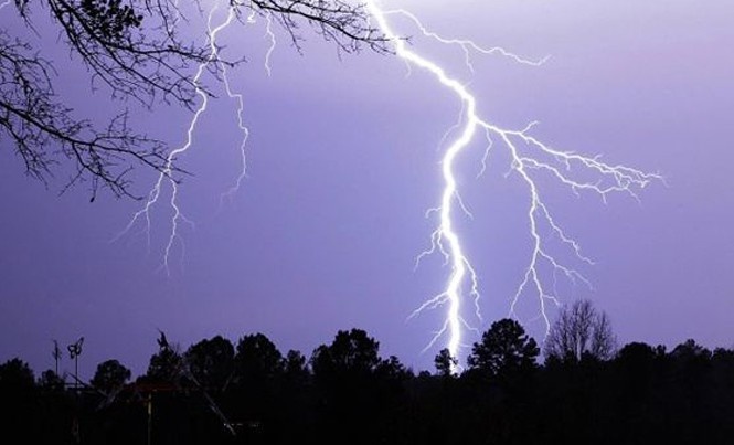 Nam sinh bi set danh tu vong khi tru mua duoi goc cay hinh anh