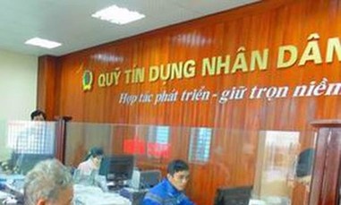 Khoi to hai anh em la lanh dao quy tin dung, 'bien thu' 22 ty dong hinh anh