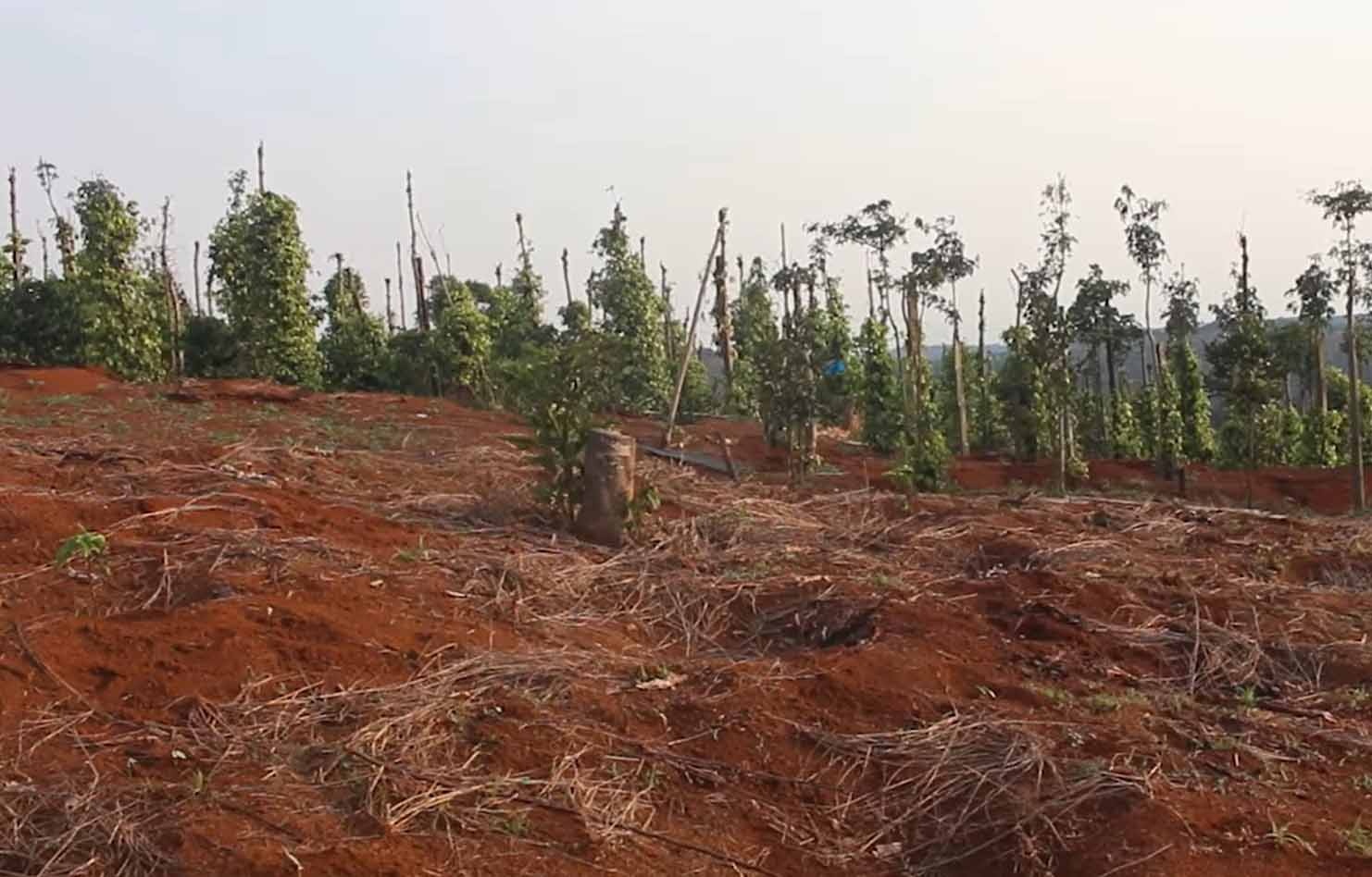 6 cuu bi bi tuyen an anh 2