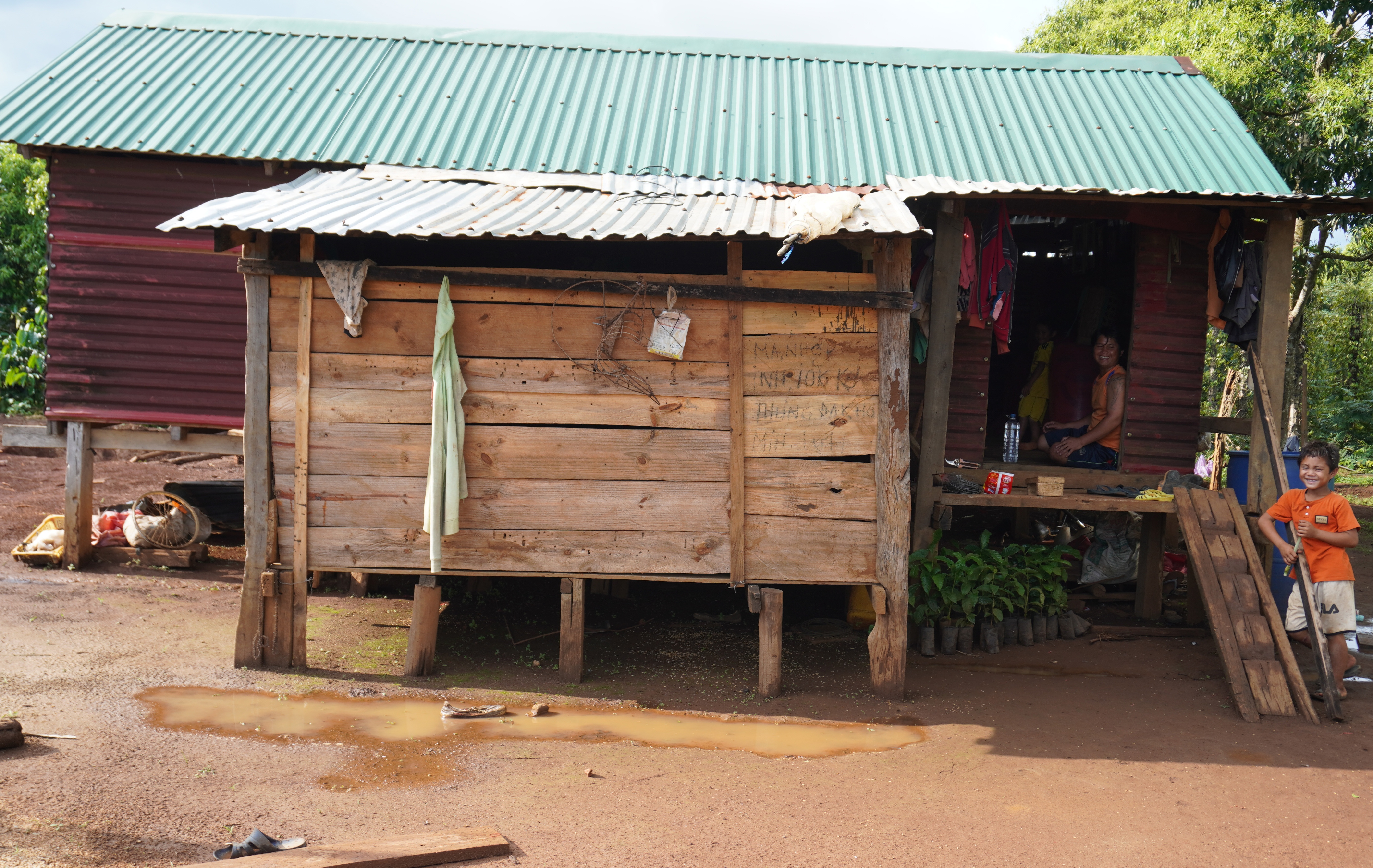 Bach hau lan rong anh 1