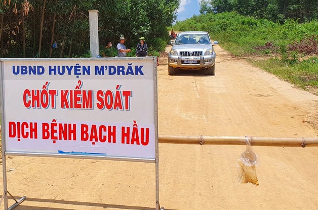 Dak Lak phat hien them 2 ca nhiem bach hau hinh anh