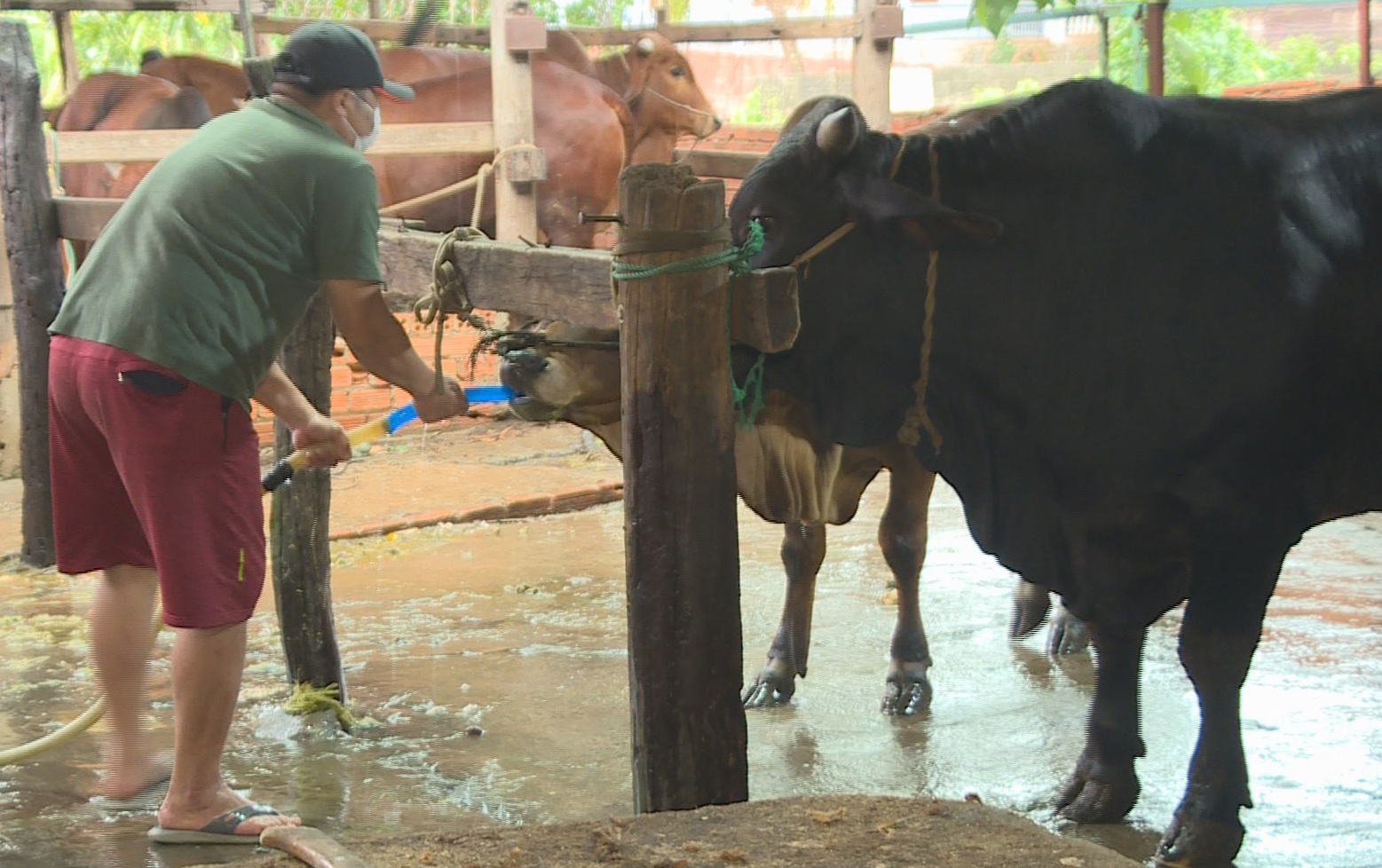 Phat hien lo mo bom nuoc vao bung bo hinh anh