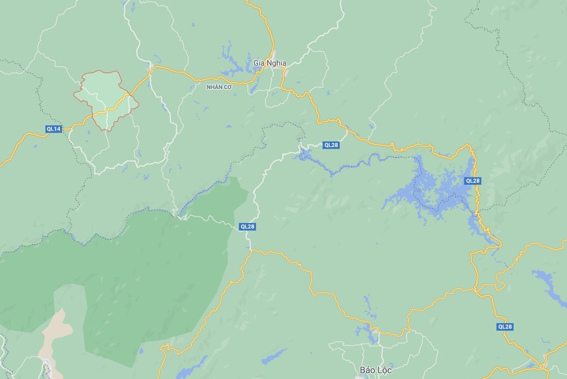 Cay bang lang khung anh 2