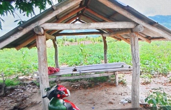 Kiểm lâm bị tấn công ảnh 1 Kiem lam bi tan cong anh 1