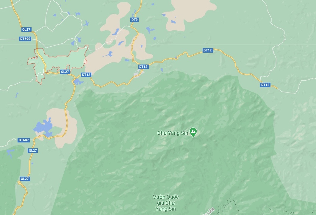 cho meo bi dau doc anh 2