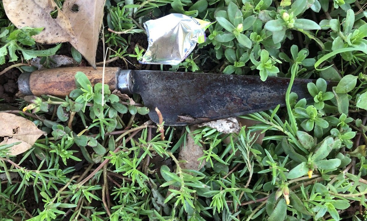 Dam chet hang xom anh 2