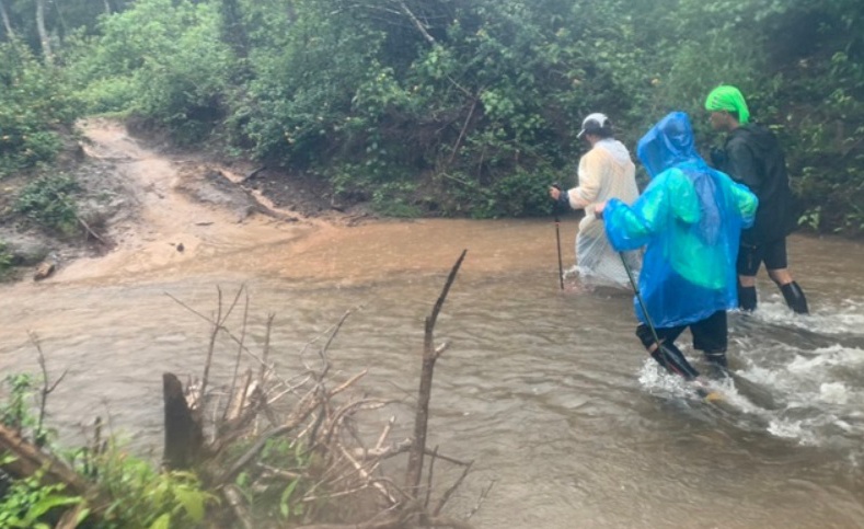 Nuoc cuon troi 4 du khach khi du lich o Lam Dong hinh anh