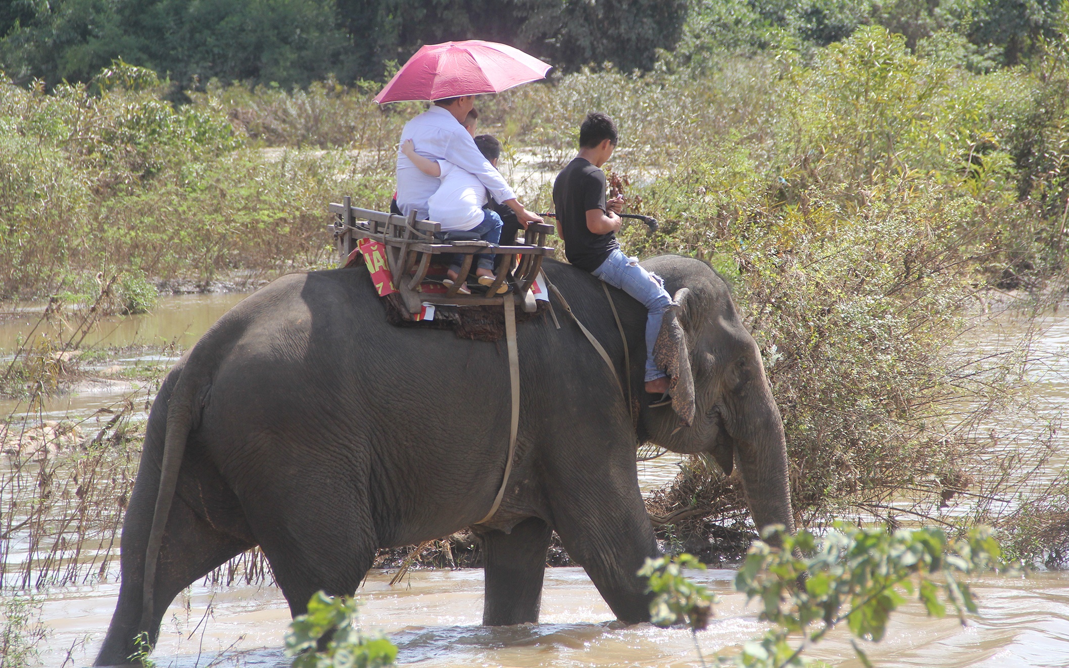 Voi nha ngay cang giam anh 2