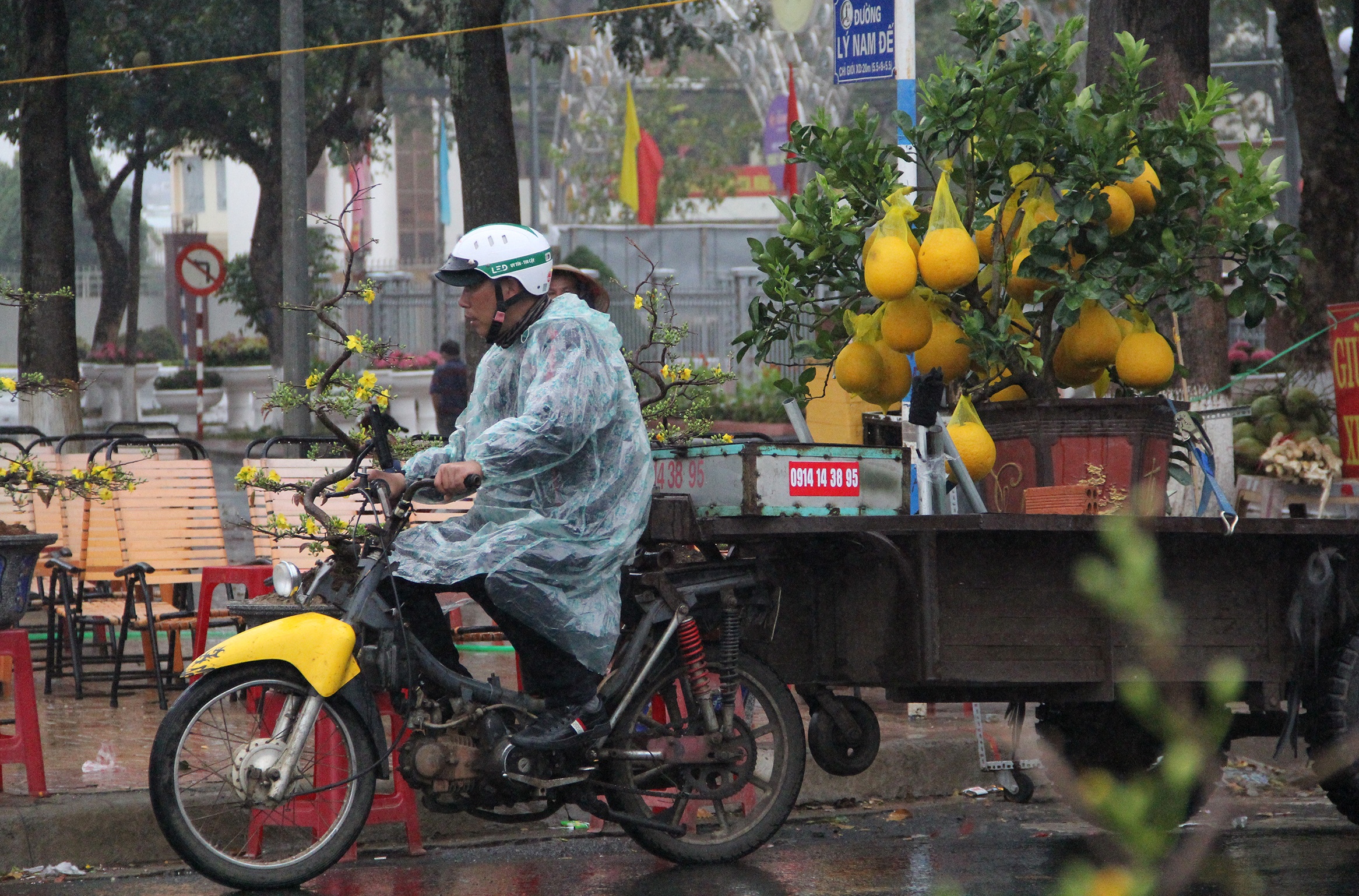nguoi buon hoa Tet treo bien xa hang anh 9