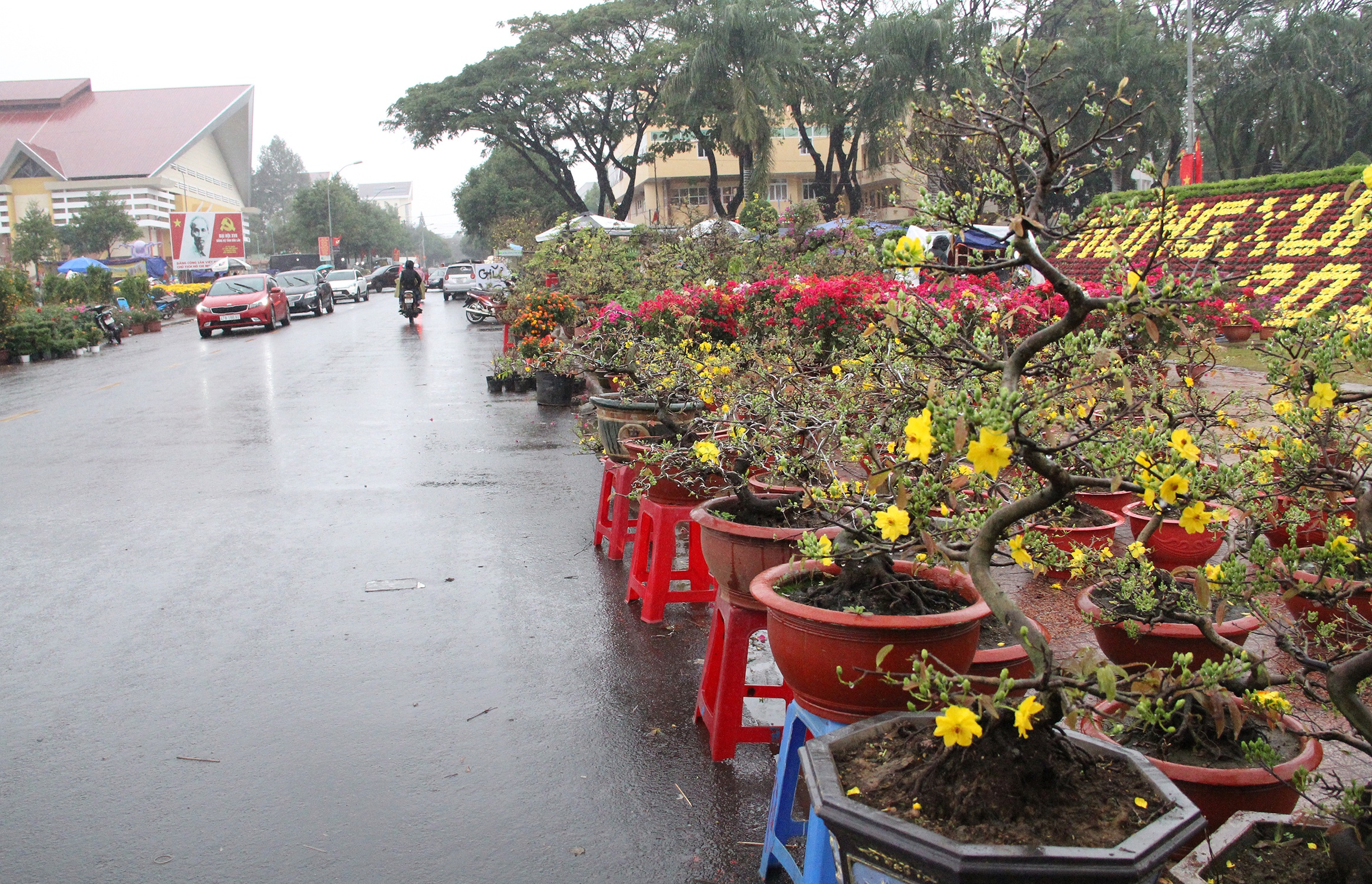 nguoi buon hoa Tet treo bien xa hang anh 1
