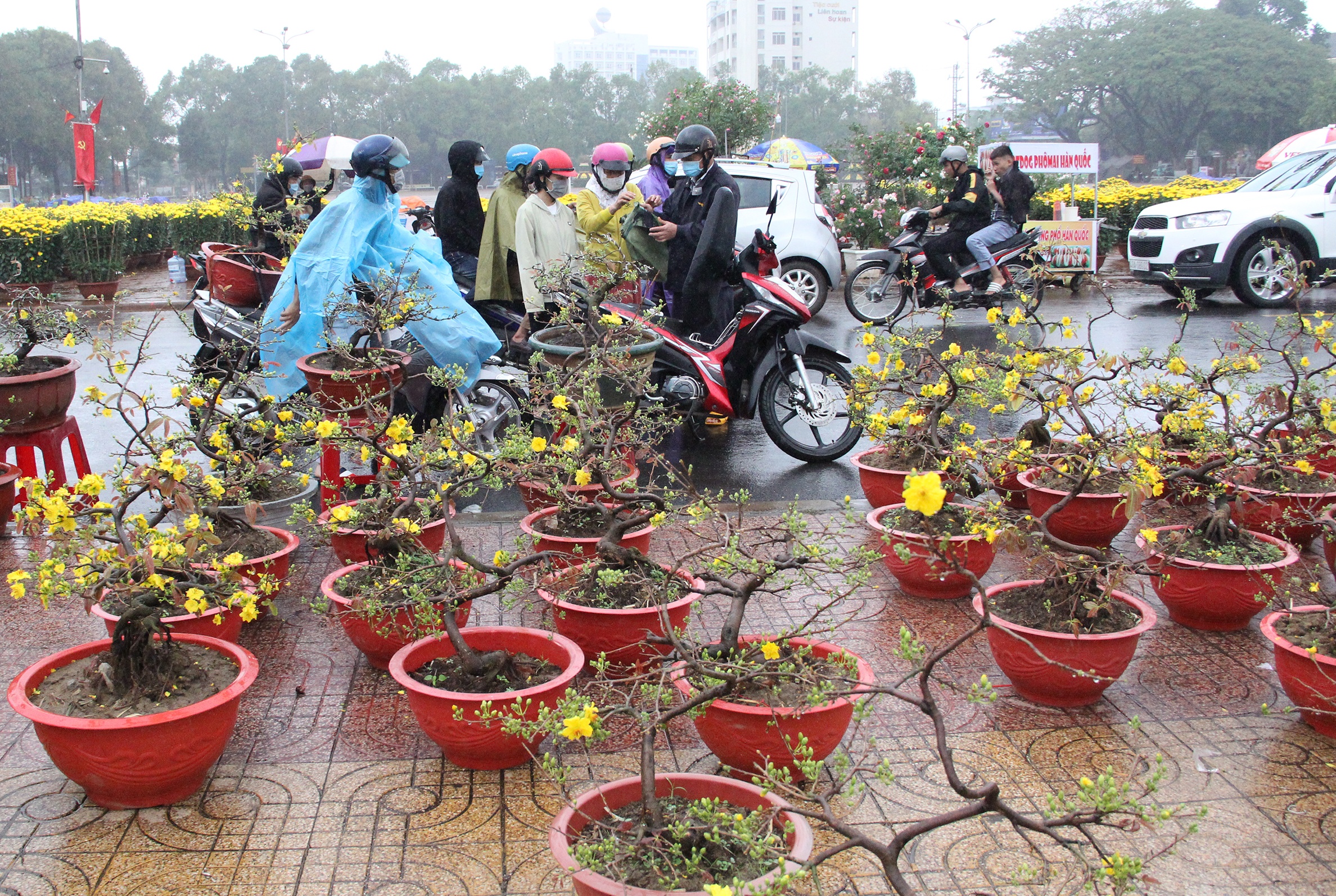 nguoi buon hoa Tet treo bien xa hang anh 2