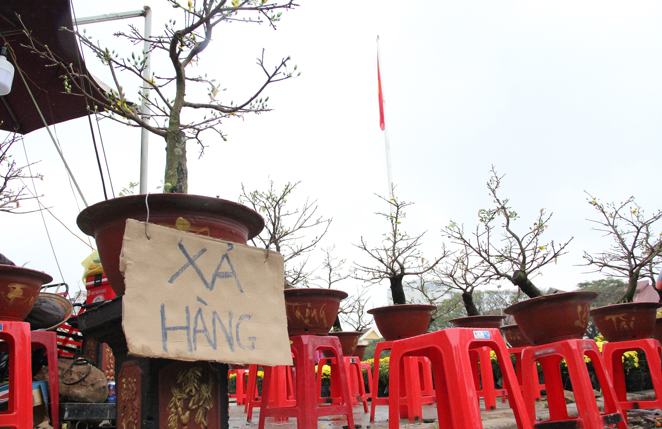 nguoi buon hoa Tet treo bien xa hang anh 3