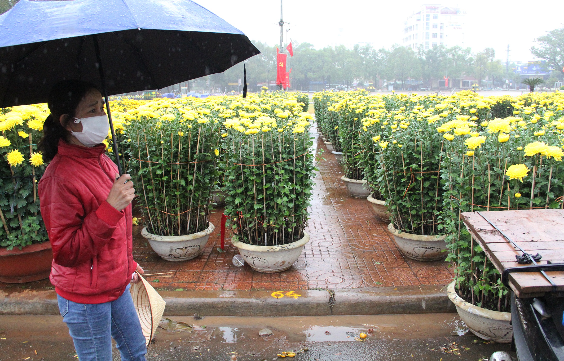 nguoi buon hoa Tet treo bien xa hang anh 5