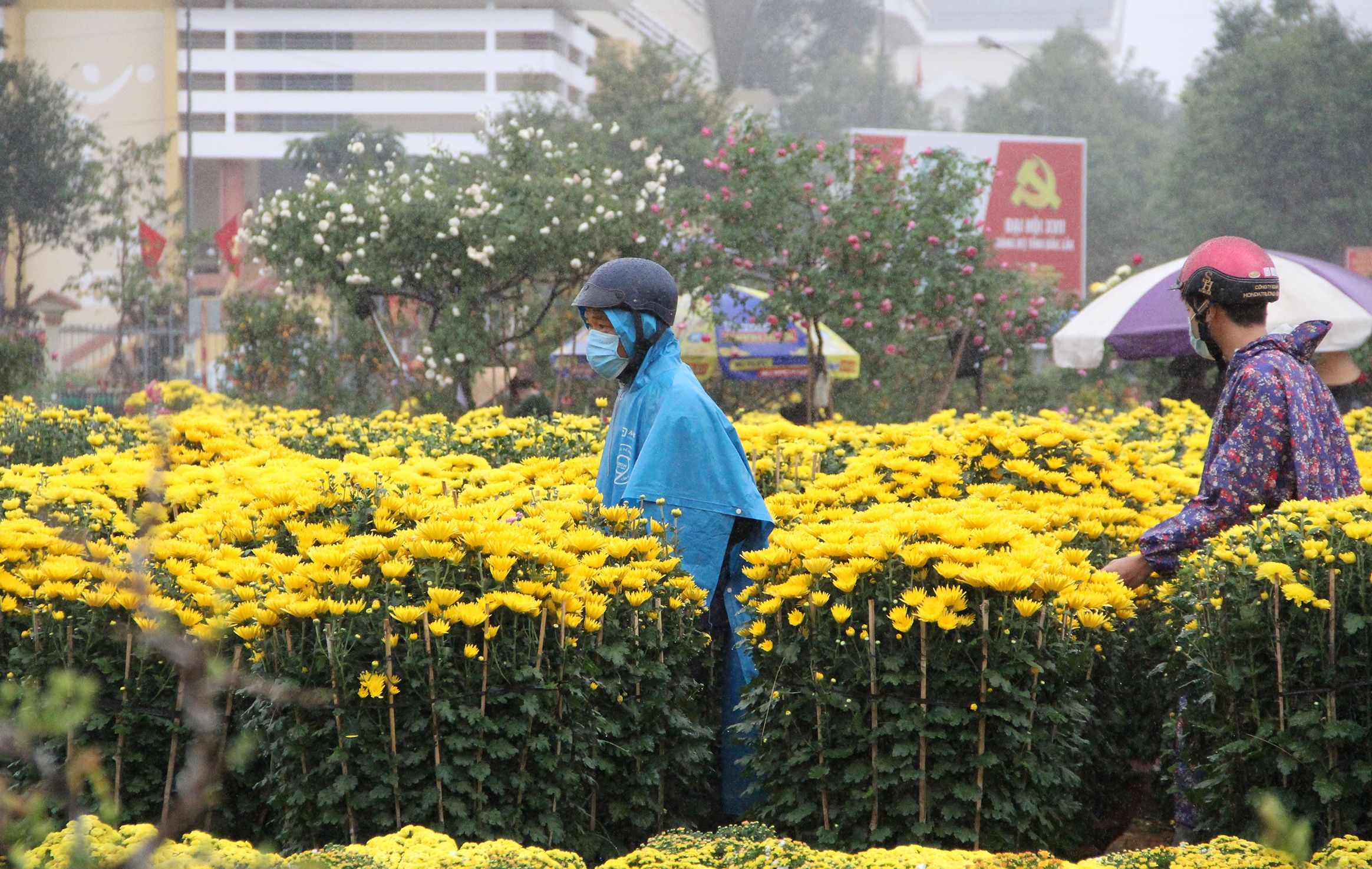 nguoi buon hoa Tet treo bien xa hang anh 6