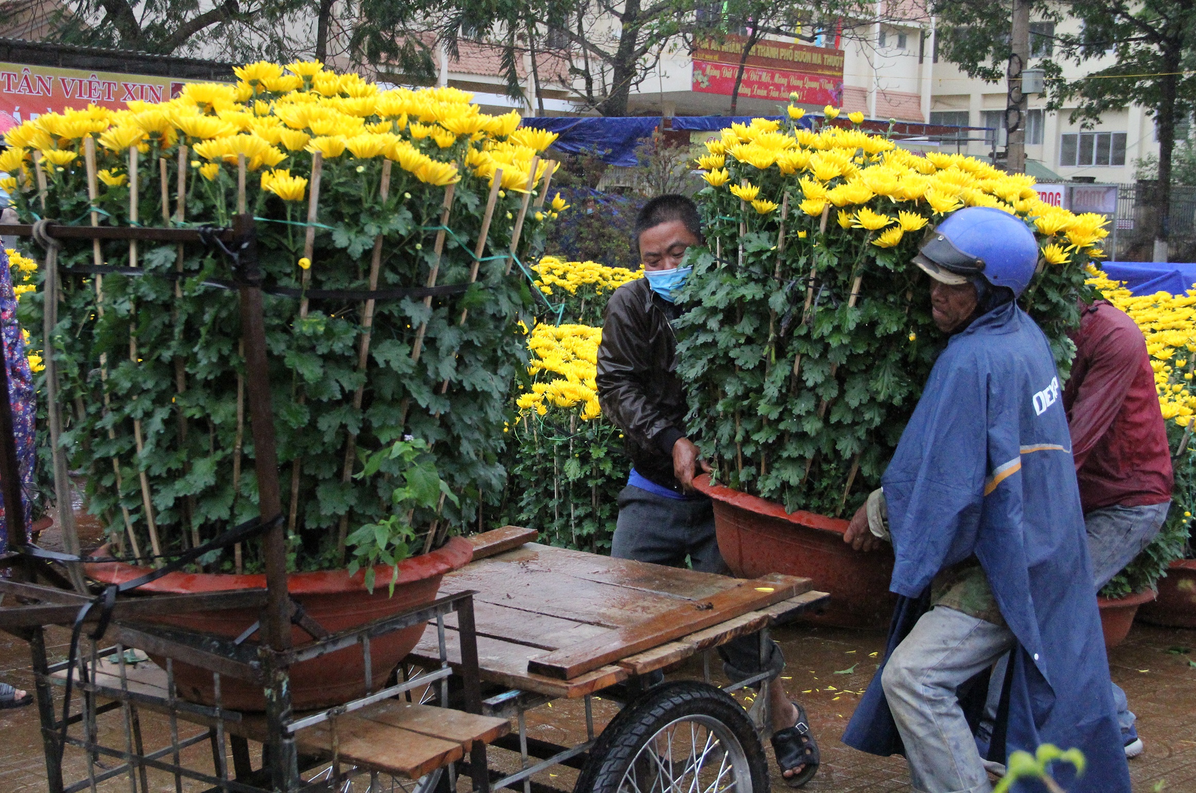 nguoi buon hoa Tet treo bien xa hang anh 7
