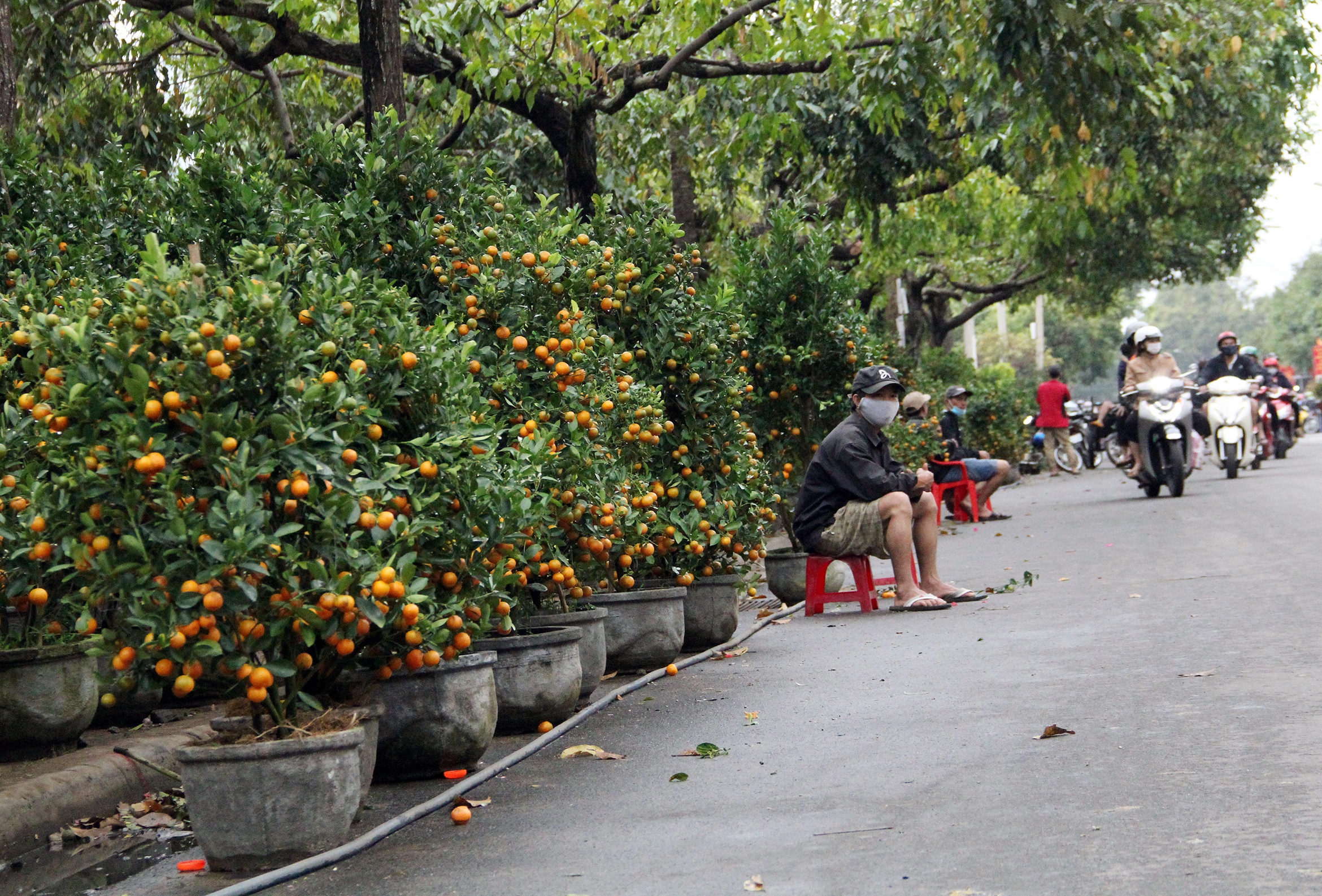 nguoi buon hoa Tet treo bien xa hang anh 8