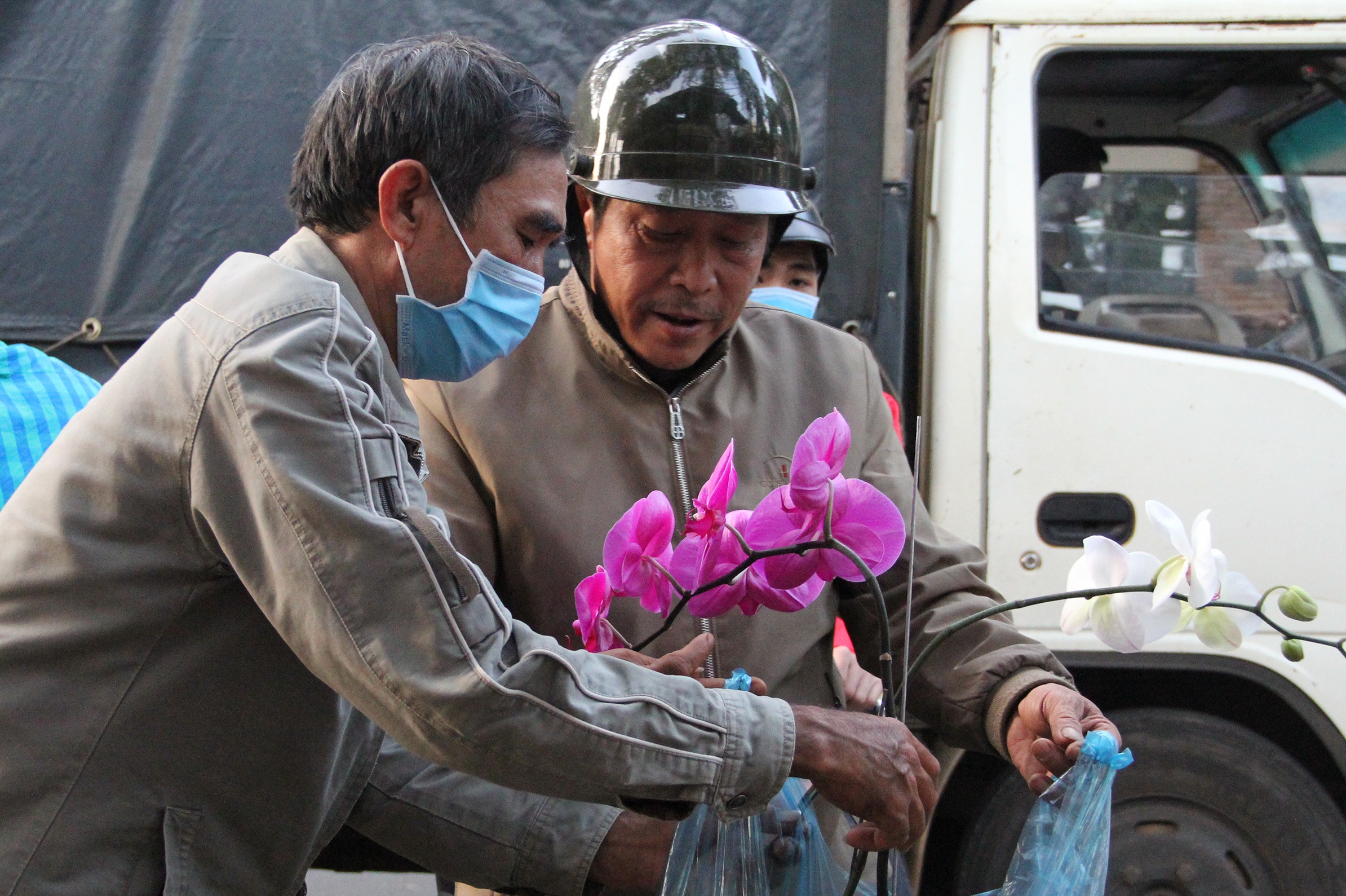 Hoa giam gia cuoi nam anh 7