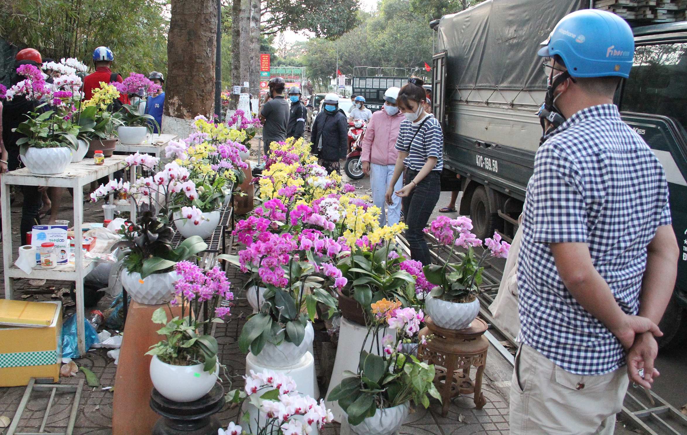 Hoa giam gia cuoi nam anh 1