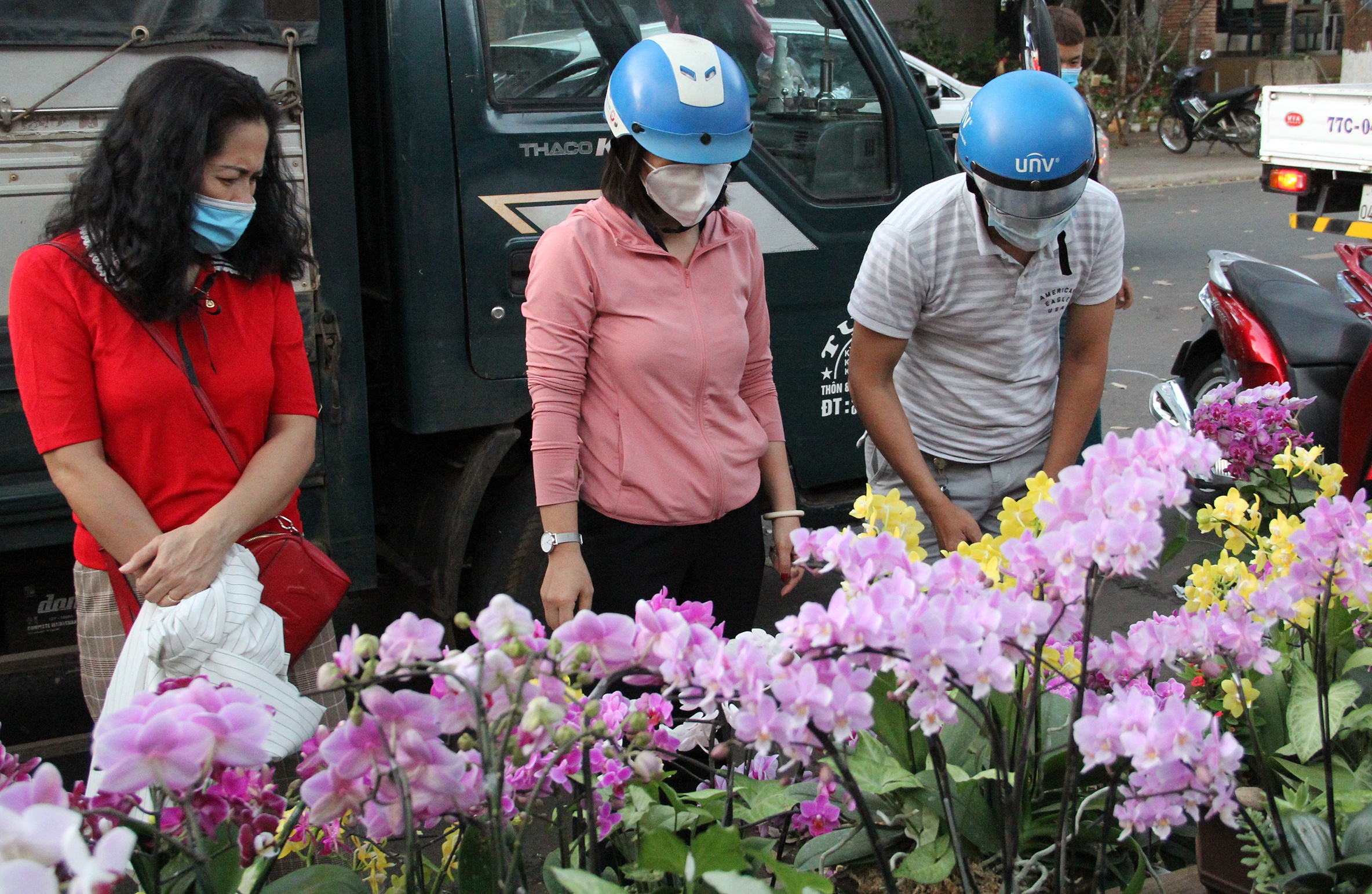 Hoa giam gia cuoi nam anh 2