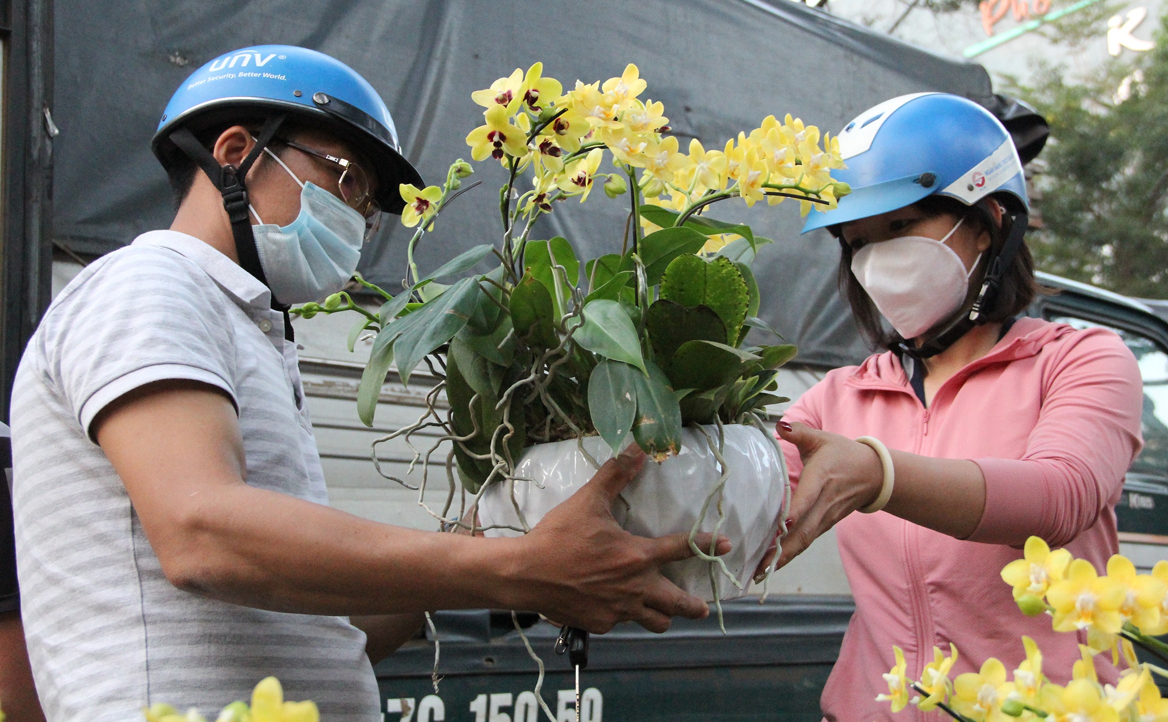 Hoa giam gia cuoi nam anh 3