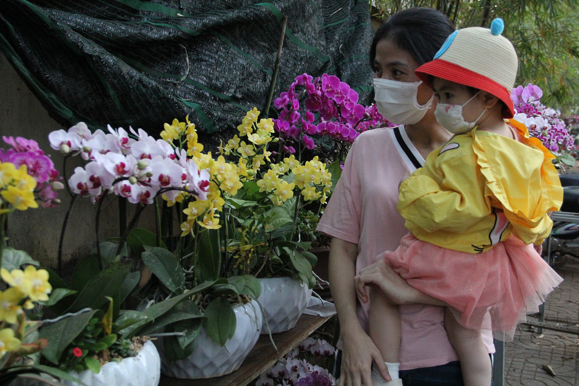 Hoa giam gia cuoi nam anh 4