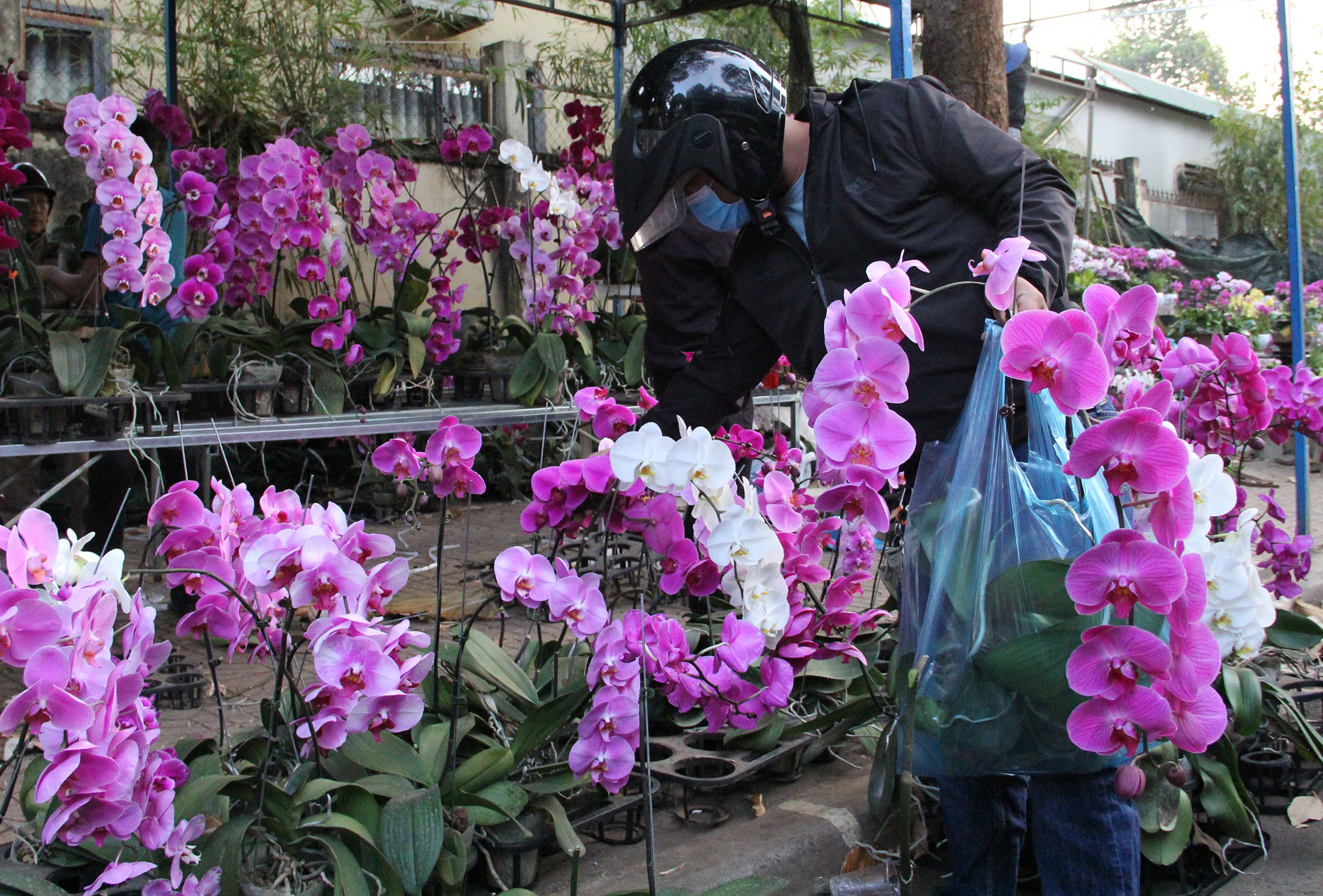 Hoa giam gia cuoi nam anh 5