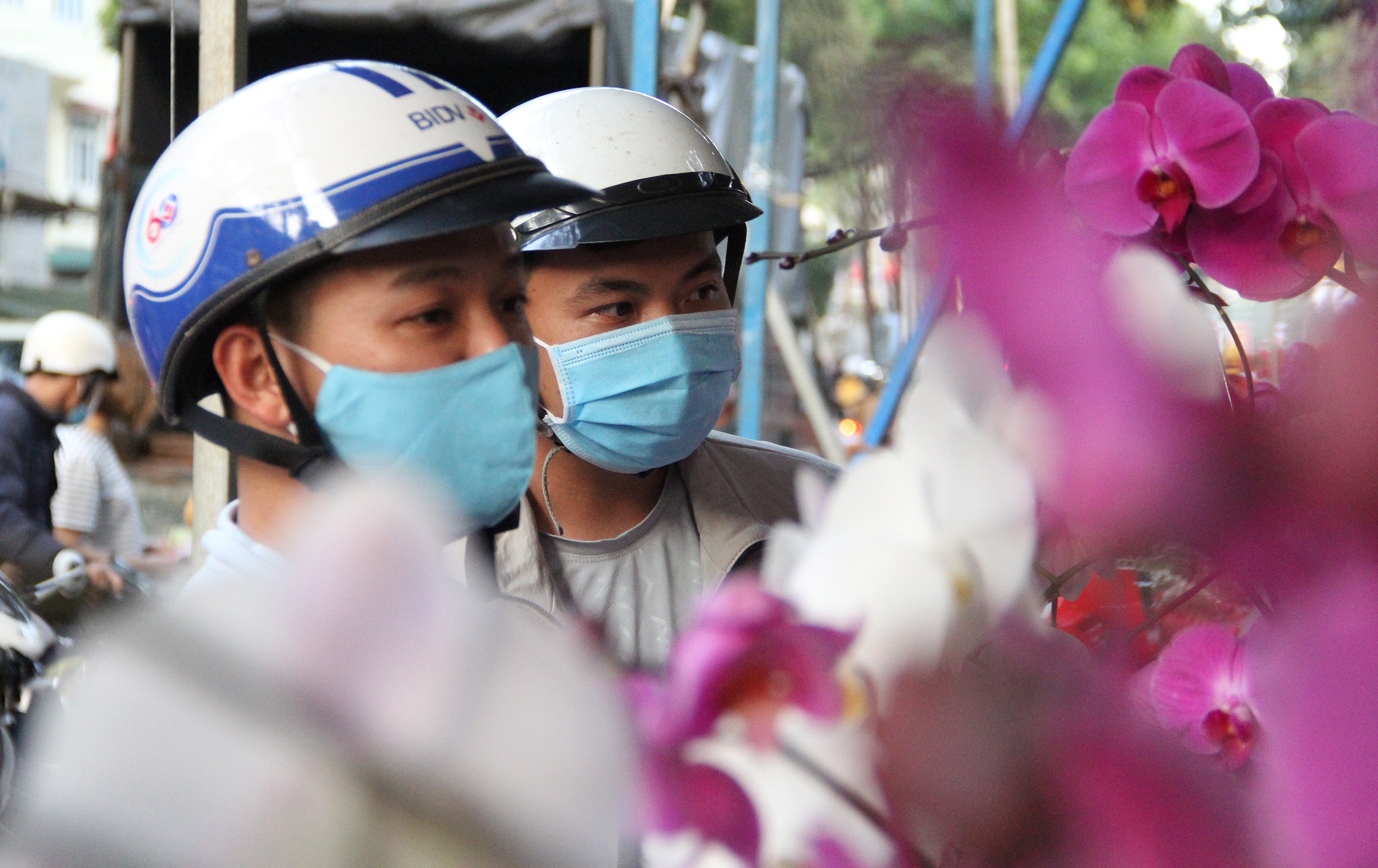 Hoa giam gia cuoi nam anh 6