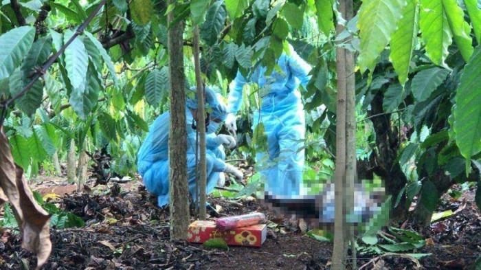 thi thể không nguyên vẹn trong rẫy cà phê ảnh 1 thi the khong nguyen ven trong ray ca phe anh 1