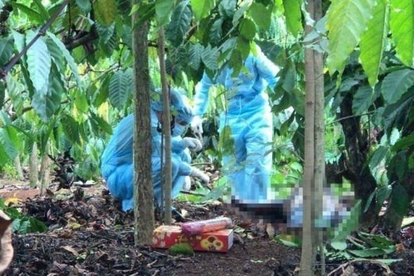 Cong an noi ve vu thi the khong nguyen ven trong ray ca phe hinh anh