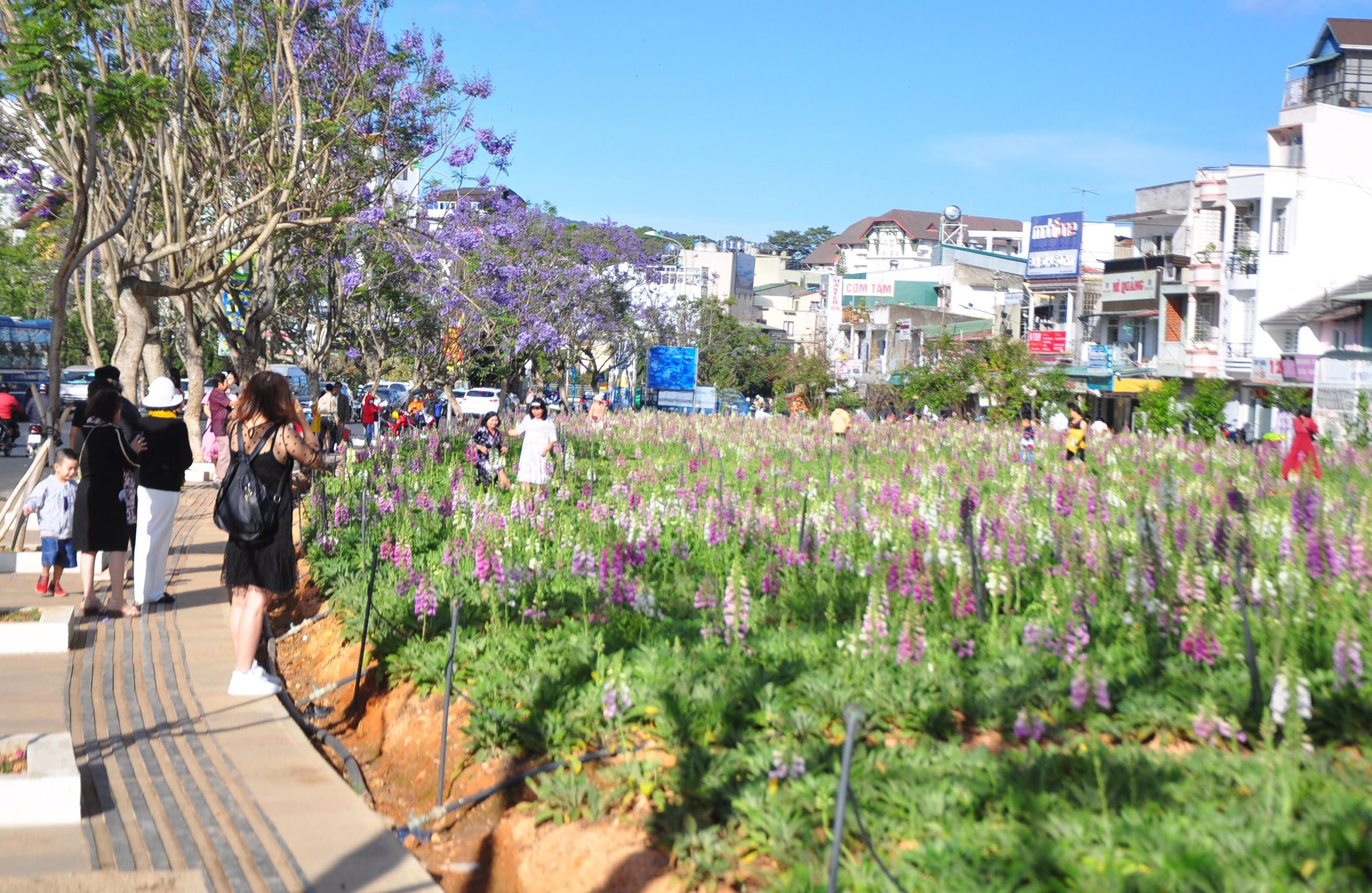 du lich Da Lat anh 2