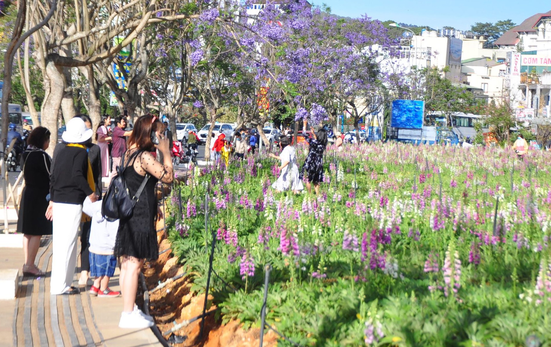 'Khach den Da Lat truoc 10, nay chi con 1' hinh anh