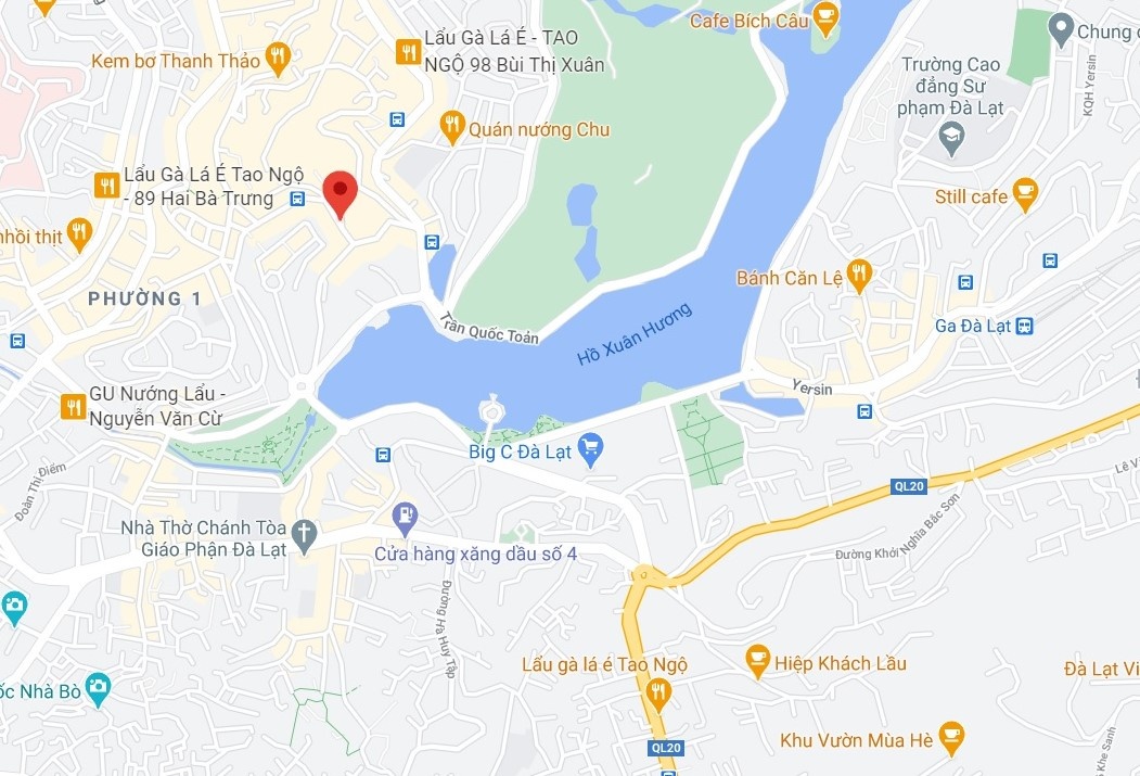 Nguoi dan ong bi chem anh 2