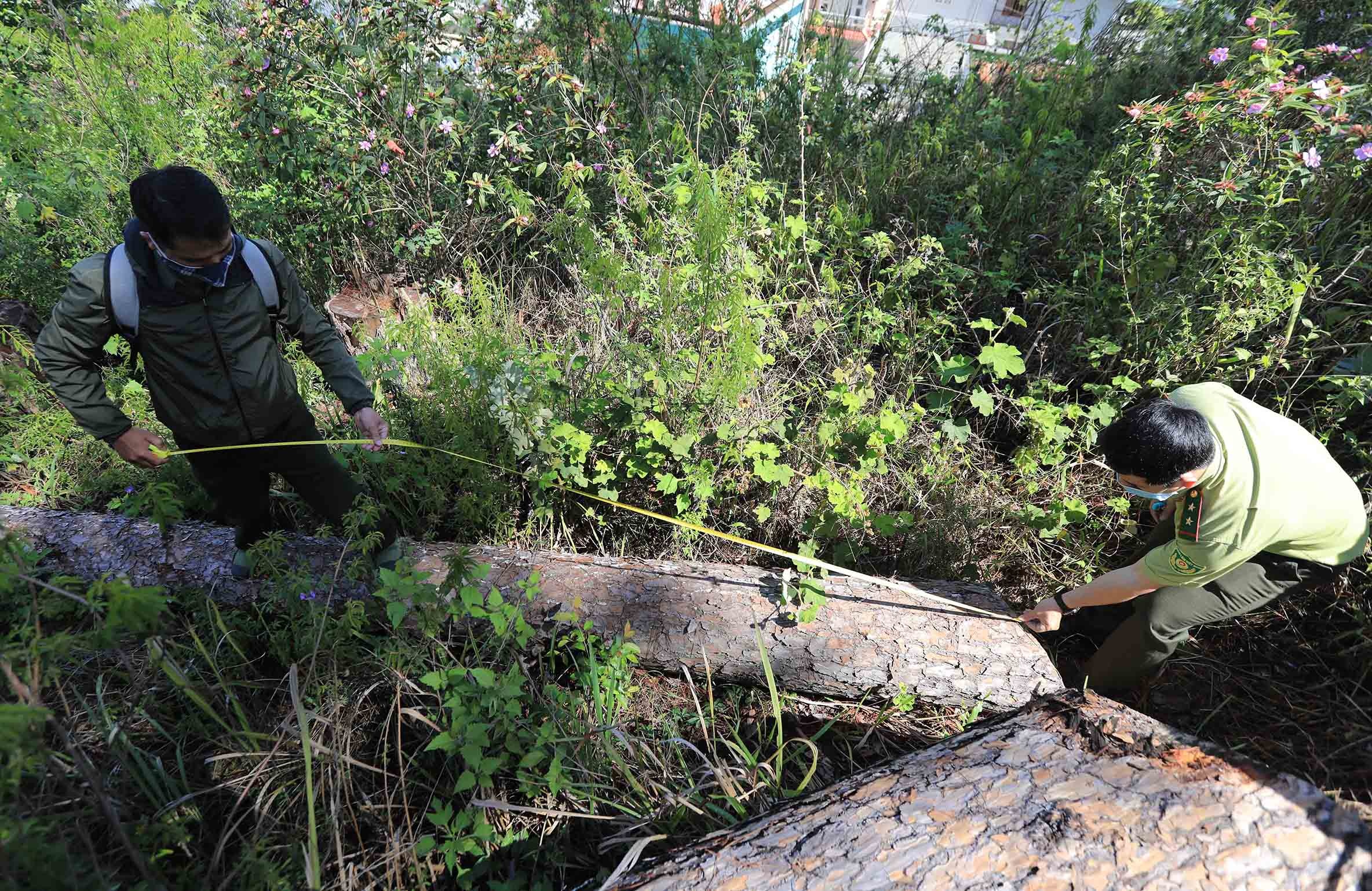 Thong co thu bi chat anh 11