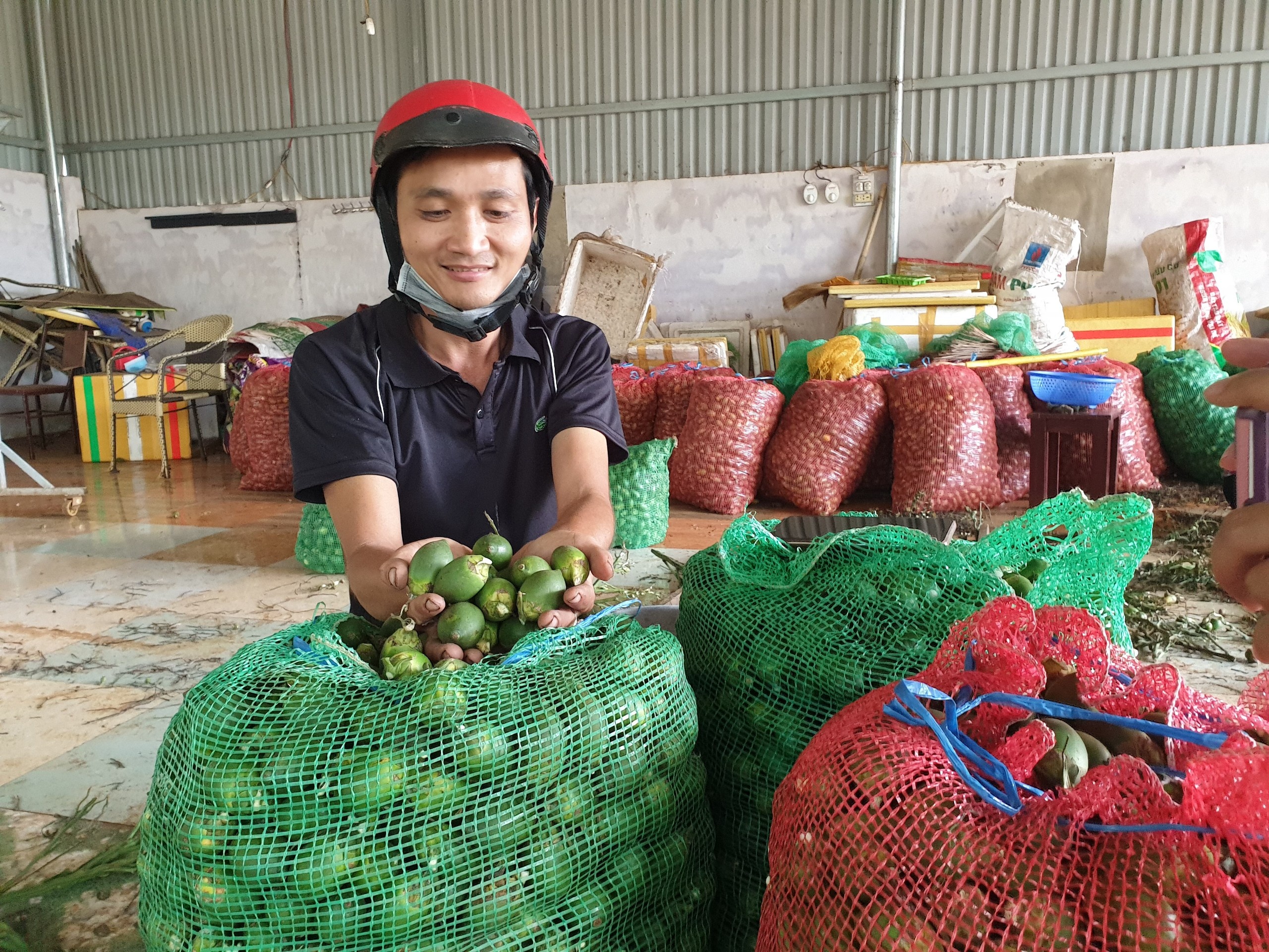 Cau tang gia gap doi, nong dan Tay Nguyen thu hang tram trieu hinh anh