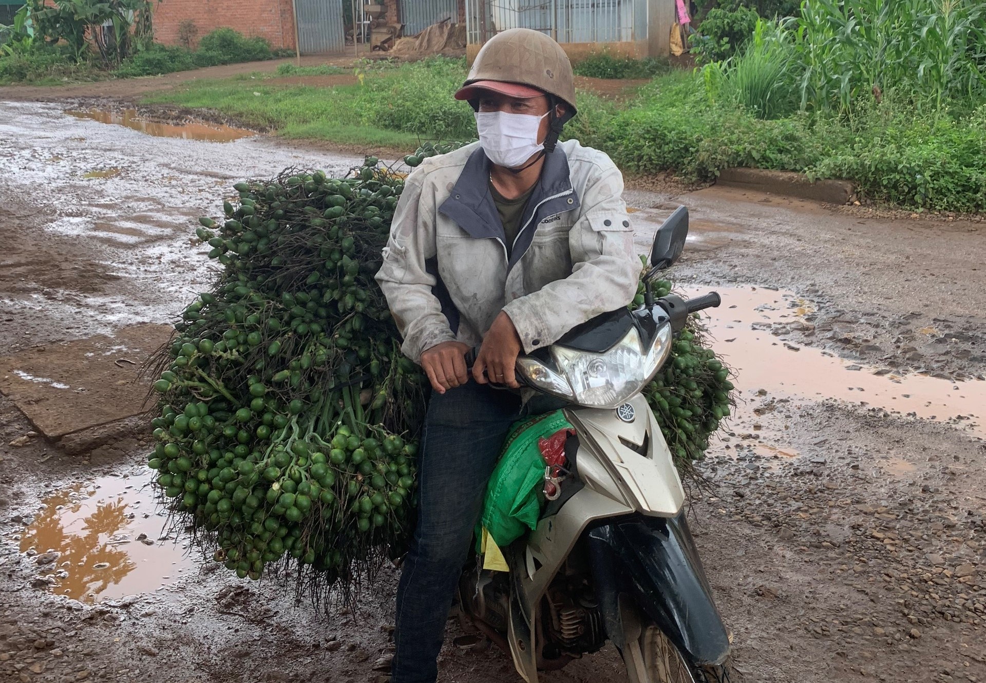 Nong dan thu nhap cao nhuo cau anh 1