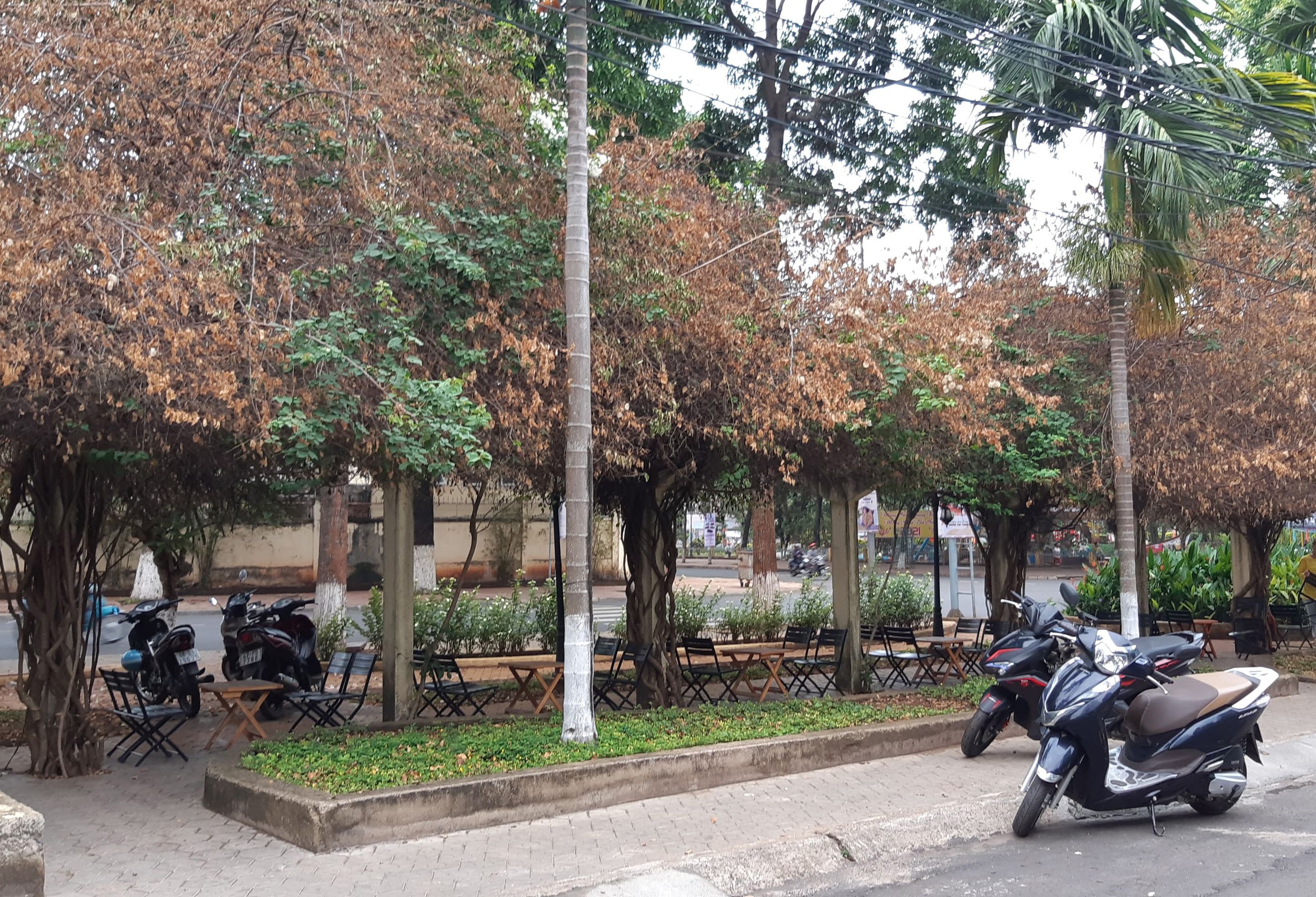 Gian hoa giay bi cua goc anh 1