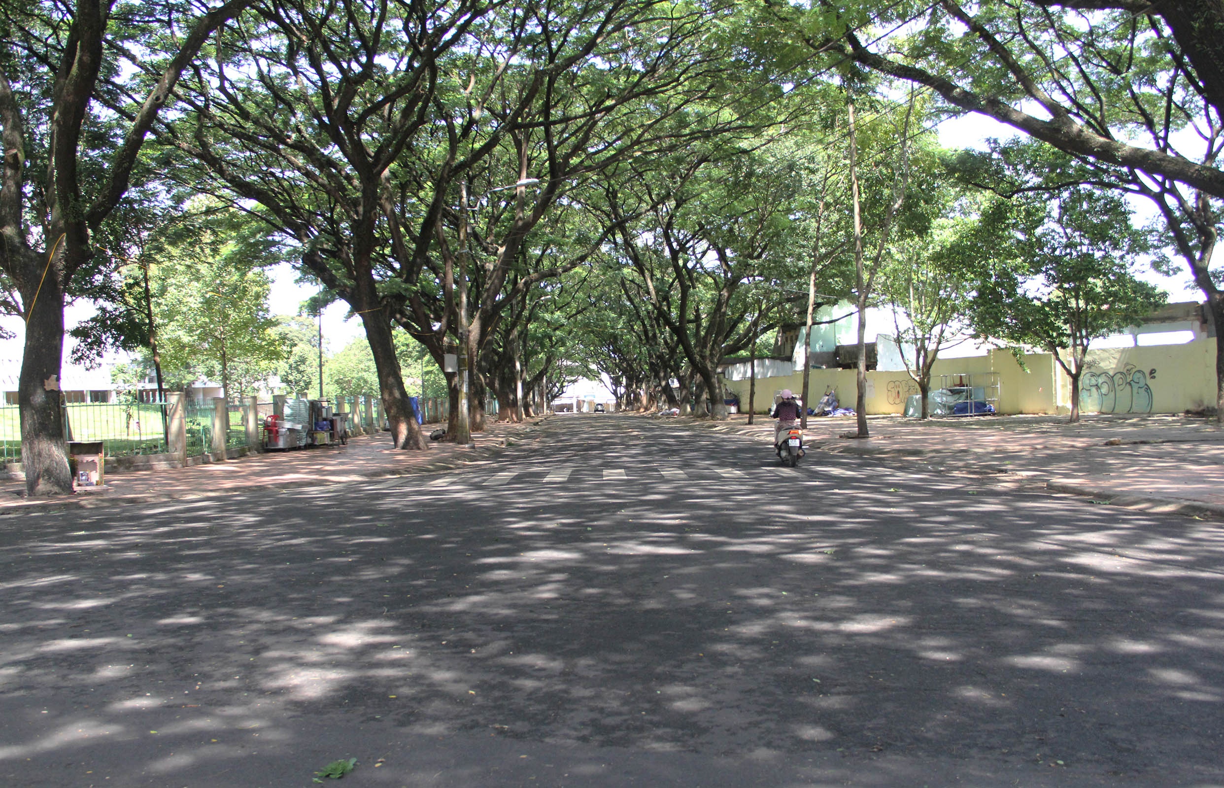 TP Buon Ma Thuot vang ve anh 4