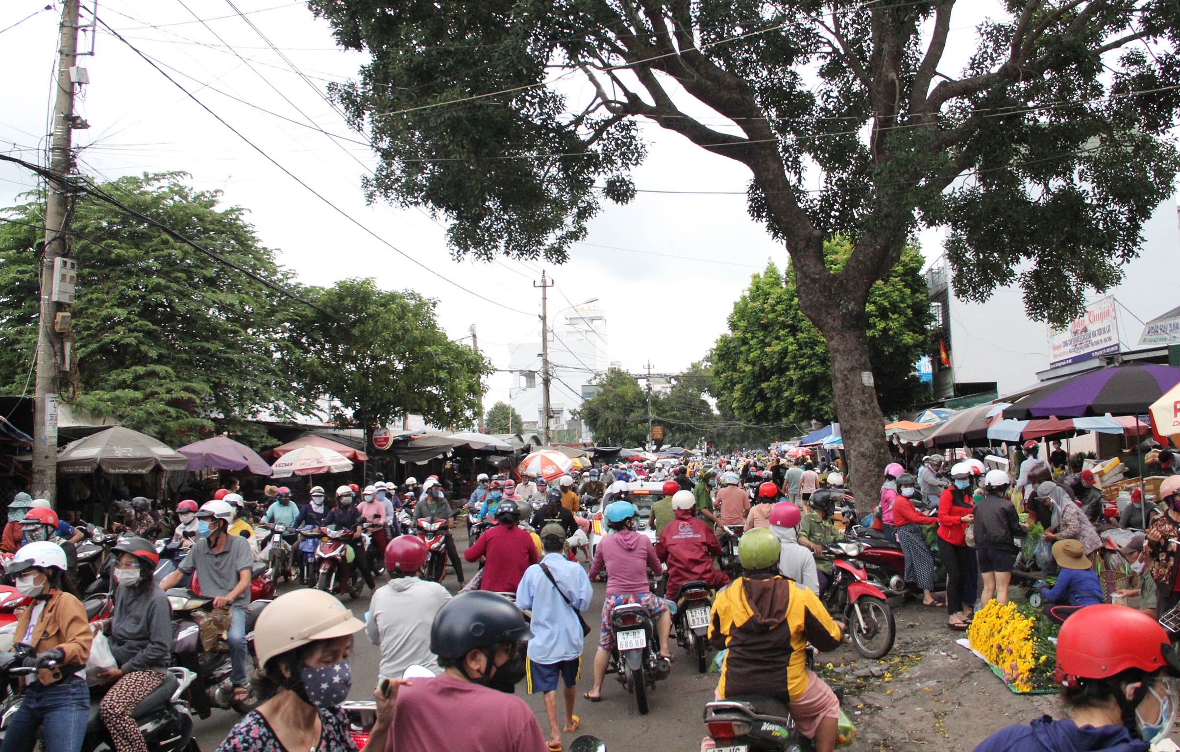 Mua hang tich tru trong mua dich anh 1