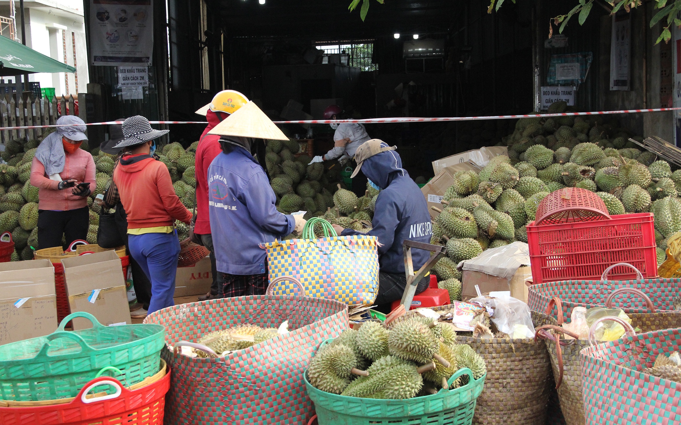 Xay dung kho dong bao quan sau rieng anh 3