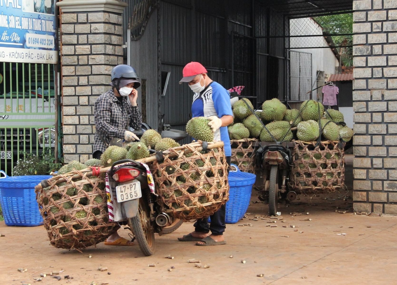 Sau rieng gap kho dau ra anh 2