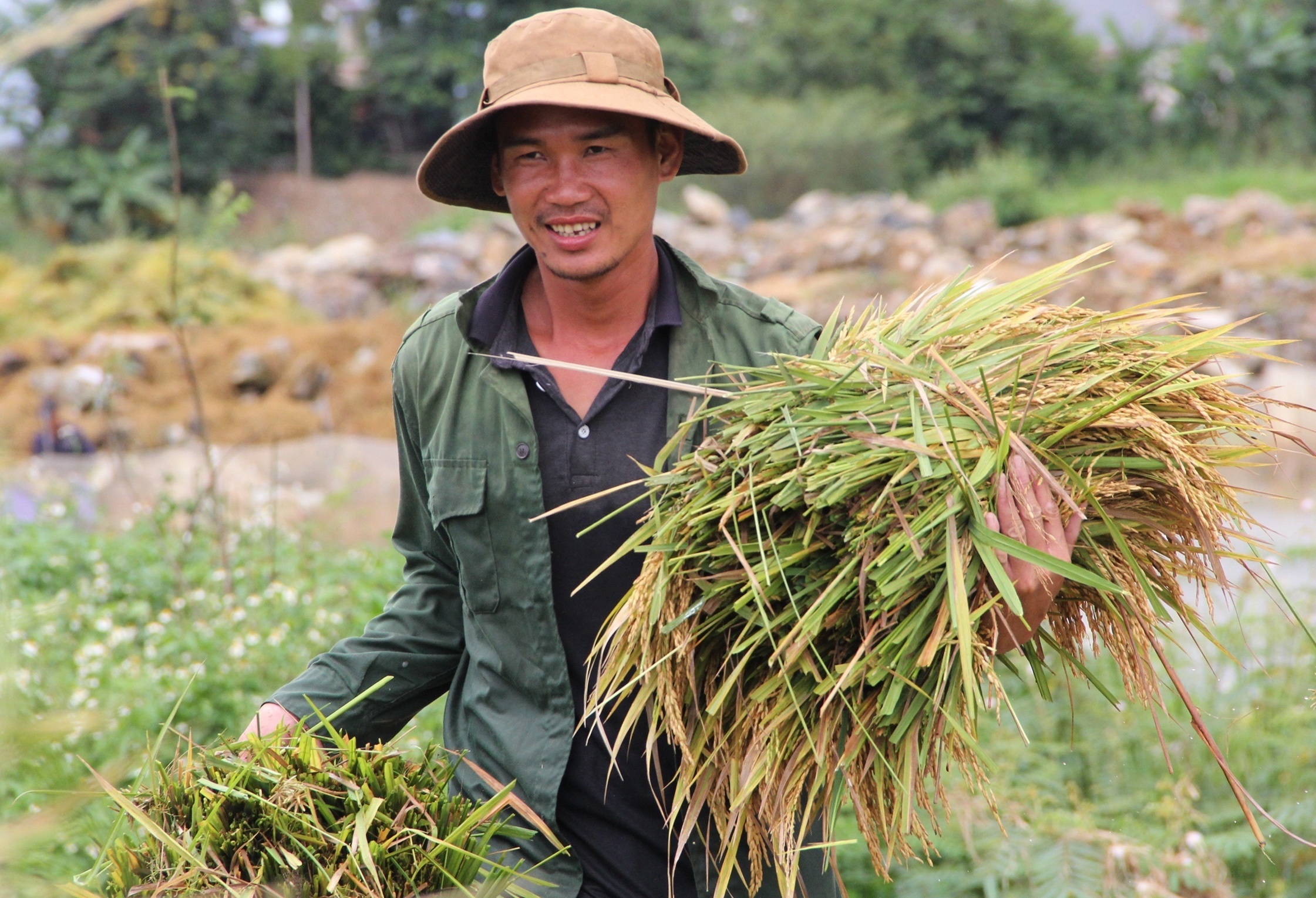 Nguoi dan gat lua non anh 6