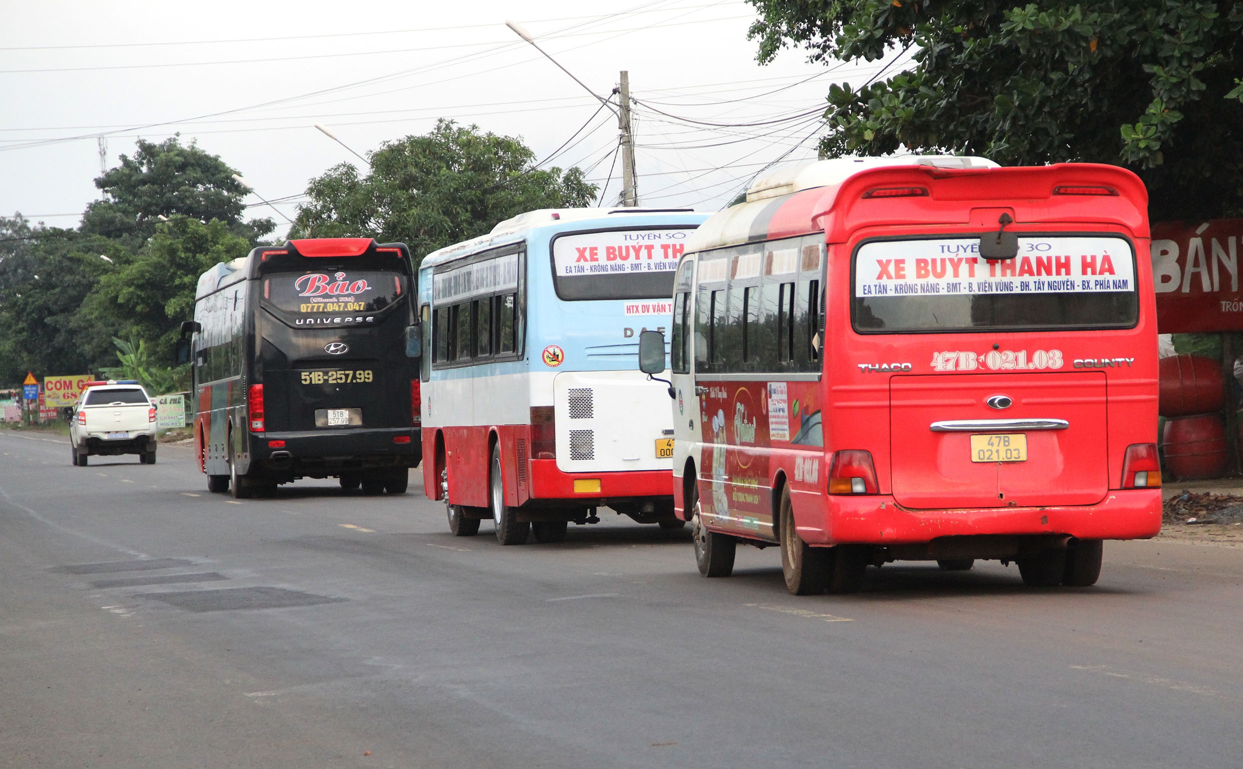 Hang nghin nguoi dan di bo ve que anh 12