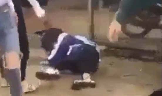 Nu sinh nhap vien cap cuu vi ban danh hoi dong hinh anh